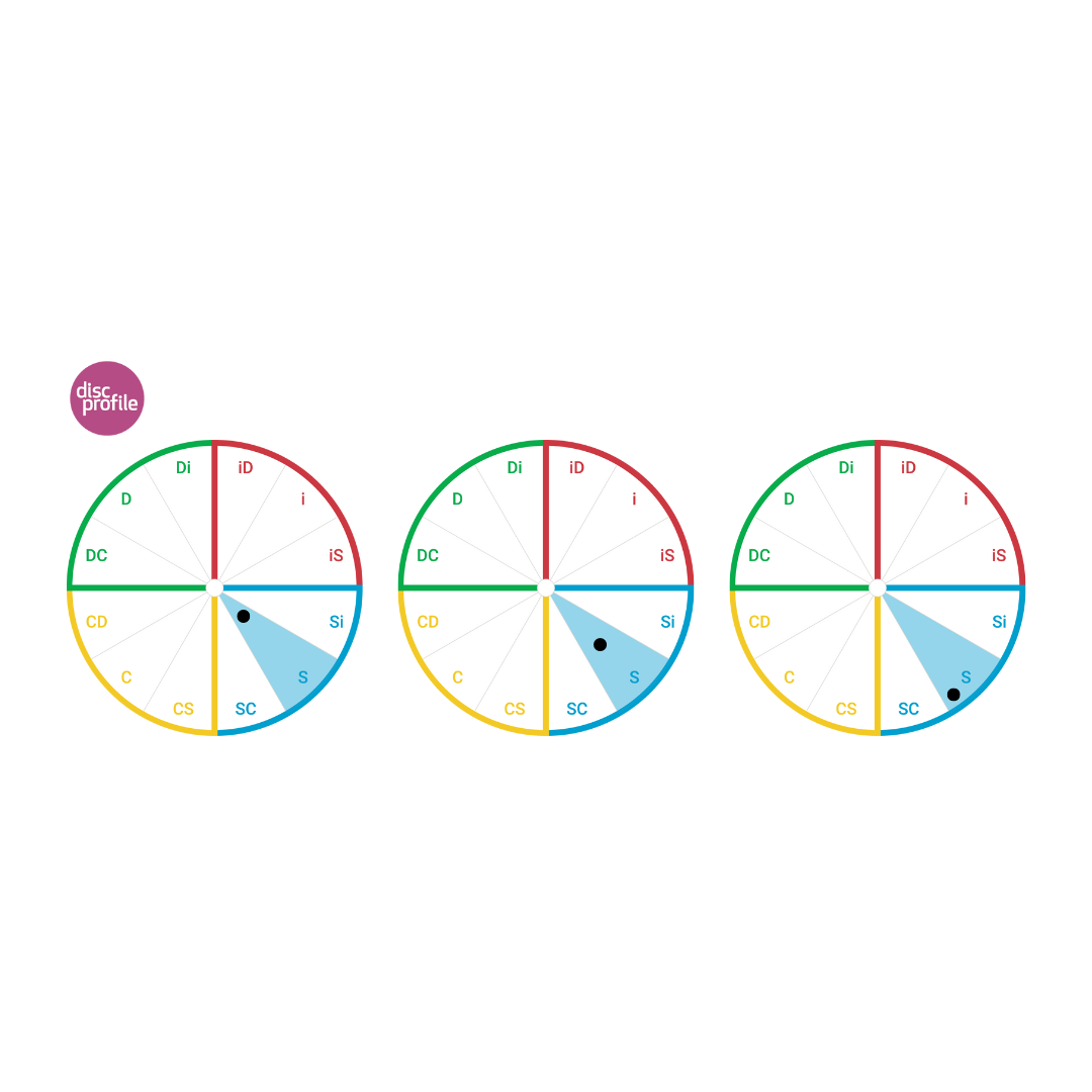 DiSC map showing a dot on the edge of the S quadrant